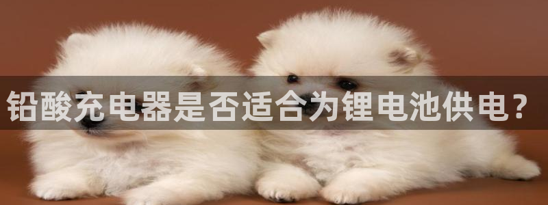 tp钱包安卓版最新下载