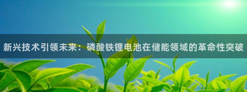 TP钱包APP下载安装最新版本2023