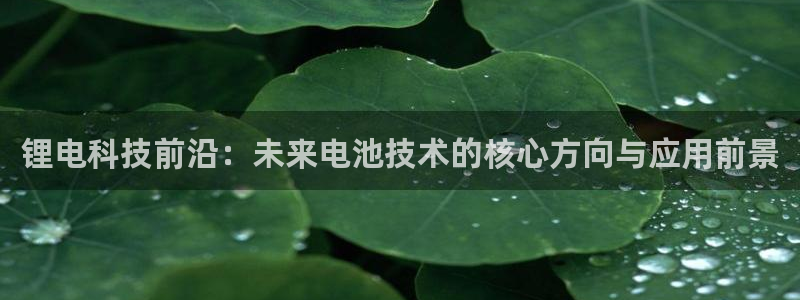 TP钱包是干嘛的