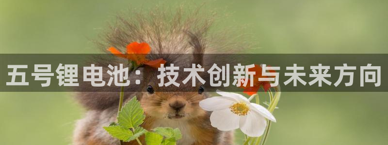 tp钱包的cpu不足