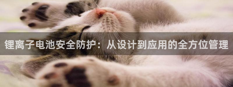 tp钱包aPP手机号在哪里找