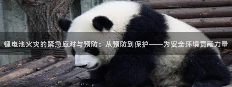 钱包tp官方在哪可以下载