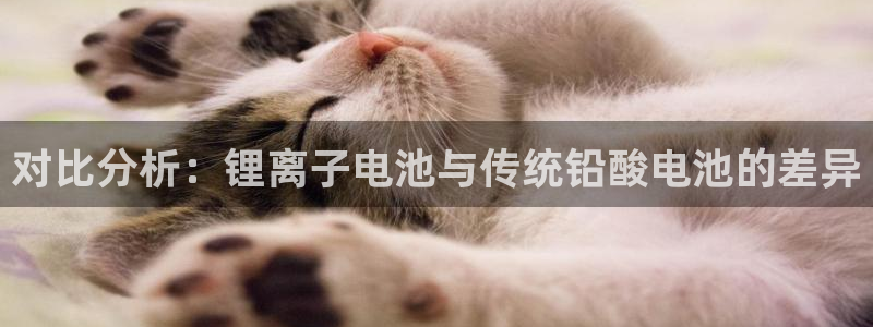 下载tp