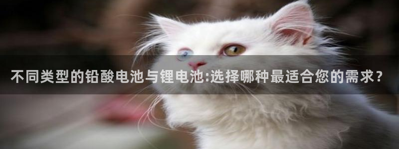 tp钱包支持nft吗