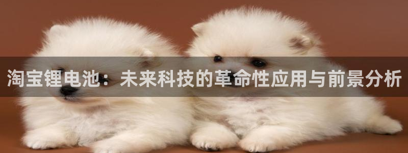 Tp钱包买卖币操作视频