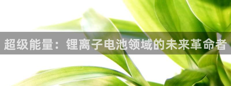 tp钱包被盗了怎么找回