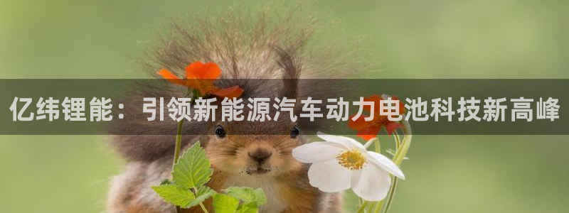 tp钱包苹果版下载