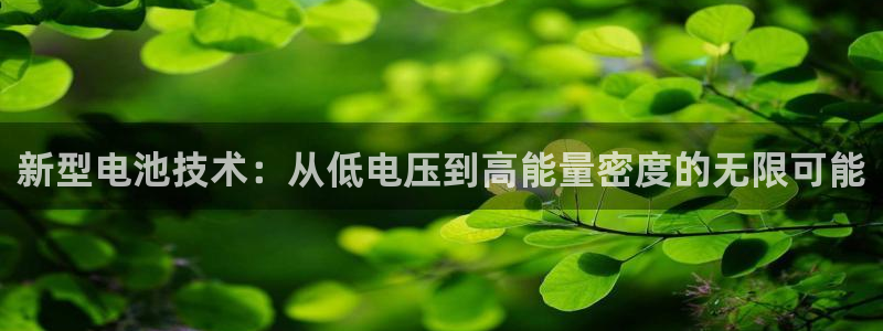 TP钱包如何用usdt闪兑TRX