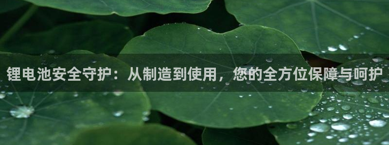 tp钱包添加logo