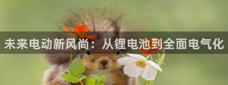 tp钱包官方网下载1.81版本