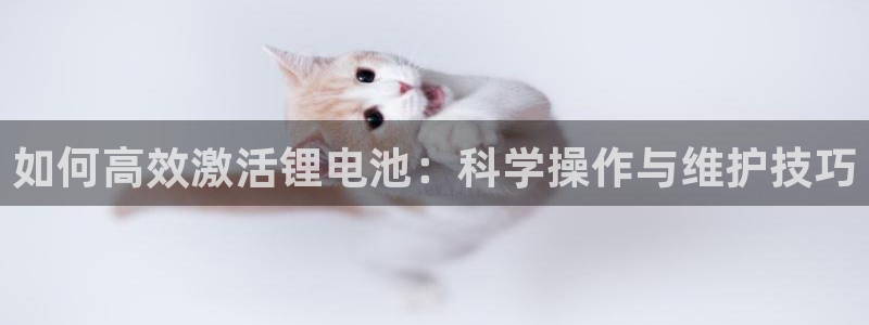 tp钱包支持找回吗