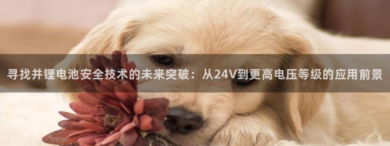 tp钱包 im钱包