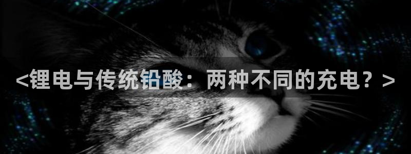 tp电子钱包