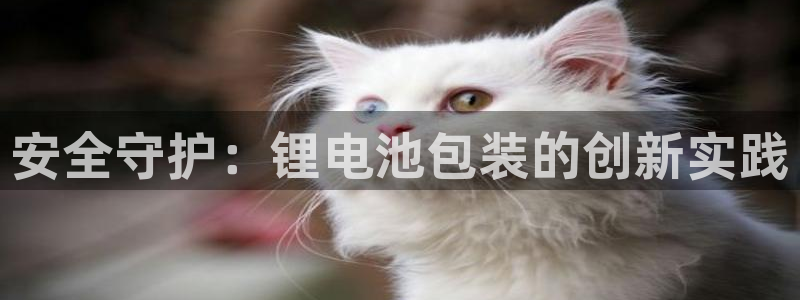 tp钱包被盗没有权限
