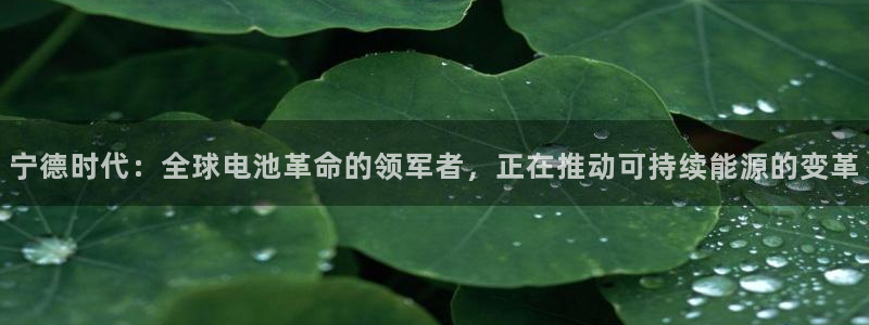 tp钱包怎么卖babydoge：宁德时代：全球电池革命的领军者，正在推动可持续能源的变革