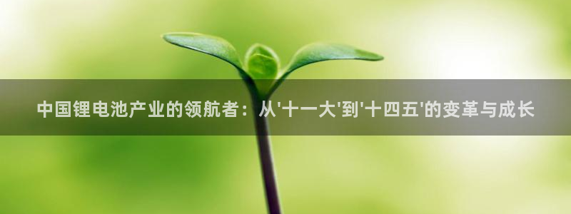 tplogin官方网站：中国锂电池产业的领航者：从\'十一大\'到\'十四五\'的变革与成长