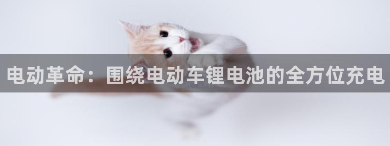 tp数字钱包没有转账记录：电动革命：围绕电动车锂电池的全方位充电