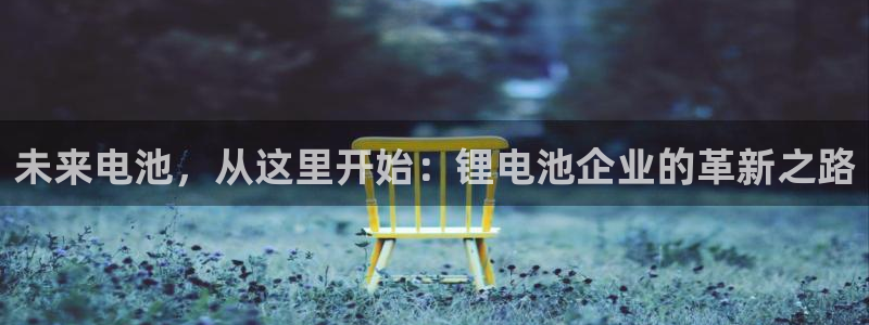 tp钱包卸载了怎么重新登录：未来电池，从这里开始：锂电池企业的革新之路