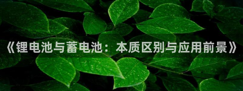 tp钱包trc手续费怎么算