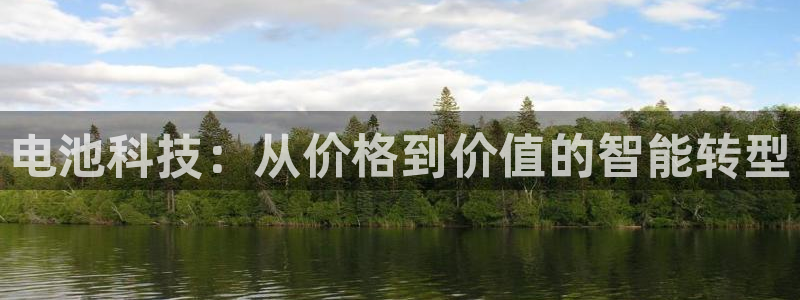 tp钱包取消密码：电池科技：从价格到价值的智能转型
