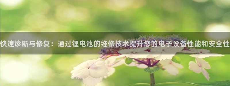 tp钱包ios最新版：快速诊断与修复：通过锂电池的维修技术提升您的电子设备性能和安全性