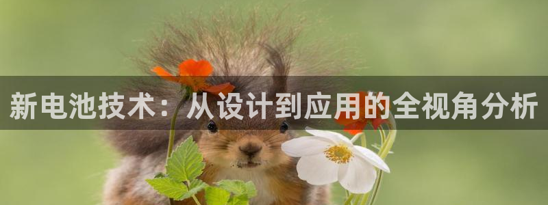 tp钱包兑换币