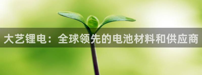 tptp官方下载最新版：大艺锂电：全球领先的电池材料和供应商