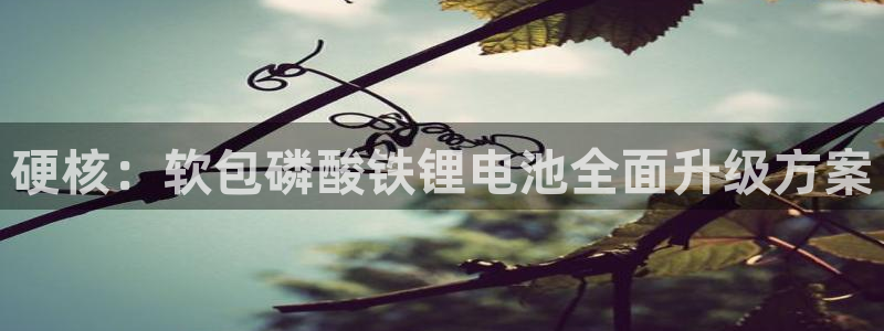 tp观察钱包怎么创建：硬核：软包磷酸铁锂电池全面升级方案