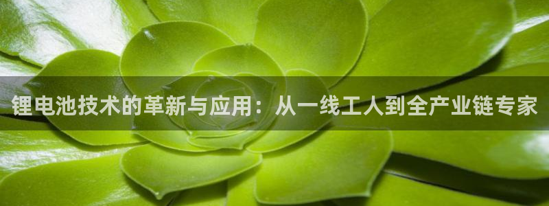 tp钱包下载不了最新版本：锂电池技术的革新与应用：从一线工人到全产业链专家