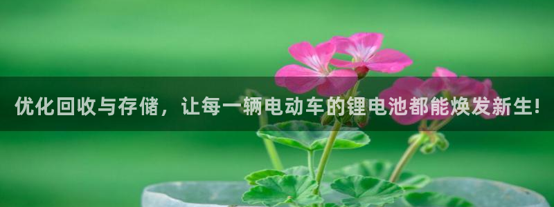 tplogin.cn a：优化回收与存储，让每一辆电动车的锂电池都能焕发新生!
