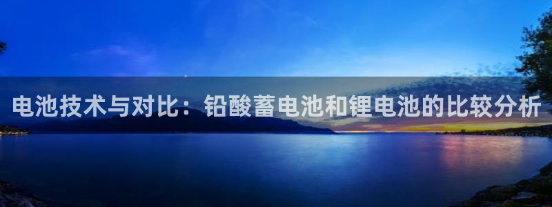tp钱包不能提币：电池技术与对比：铅酸蓄电池和锂电池的比较分析