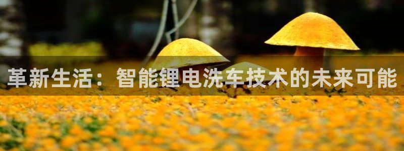 tp钱包币归零