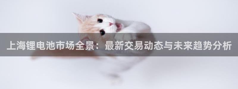 TP数字钱包里的AAV什么意思