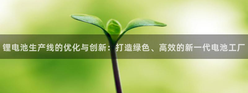 TP 钱包挖ok矿：锂电池生产线的优化与创新：打造绿色、高效的新一代电池工厂