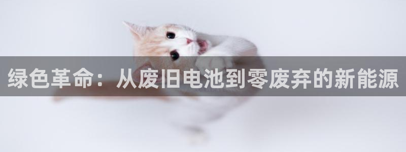 tp钱包如何购买trx：绿色革命：从废旧电池到零废弃的新能源