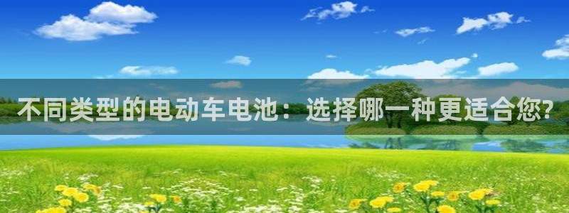 tp钱包app苹果版下载：不同类型的电动车电池：选择哪一种更适合您?