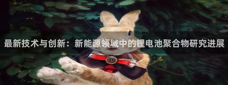 tp钱包注册：最新技术与创新：新能源领域中的锂电池聚合物研究进展