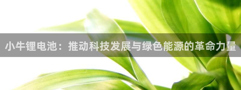 tp钱包登录有密码吗：小牛锂电池：推动科技发展与绿色能源的革命力量