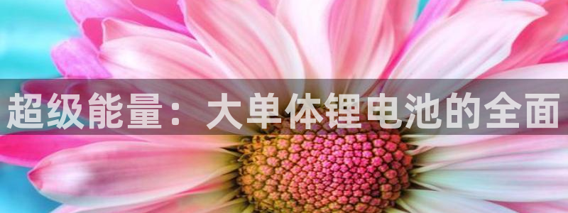 tp钱包怎么看助记词：超级能量：大单体锂电池的全面