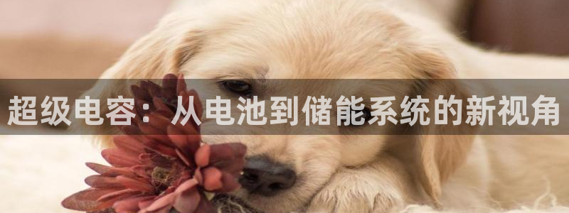 tp钱包官网地址：超级电容：从电池到储能系统的新视角
