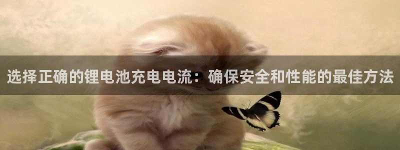tp钱包app官网下载：选择正确的锂电池
