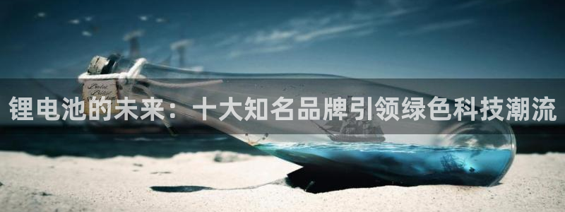 tp钱包里每个钱包都有什么用：锂电池的未来：十大知名品牌引领绿色科技潮流