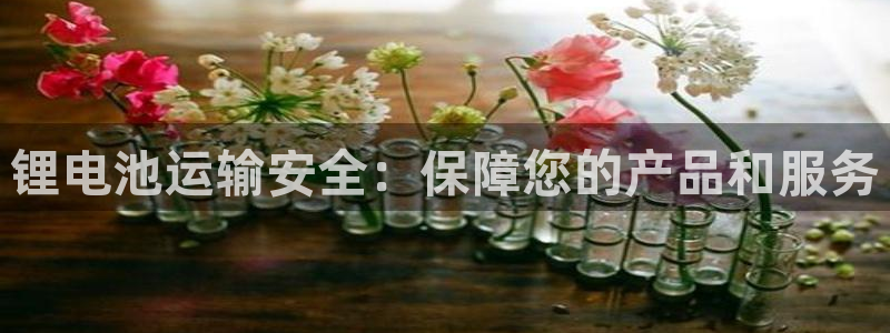 tp钱包app换卡了还可以用吗：锂电池运输安全：保障您的产品和服务