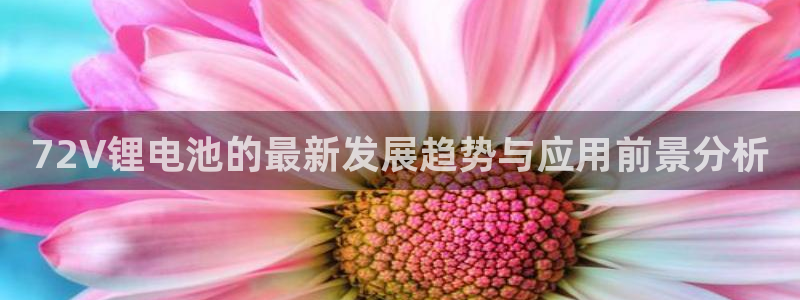 tp观察钱包地址：72V锂电池的最新发展