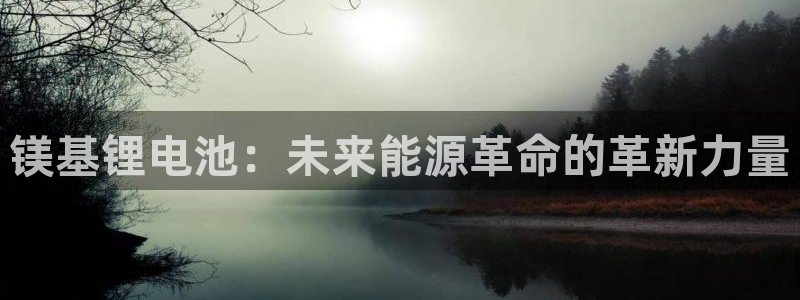 批量创建tp钱包：镁基锂电池：未来能源革命的革新力量