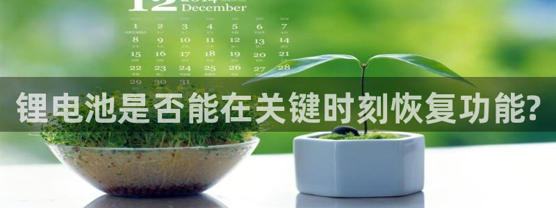 2023tp钱包官网下载：锂电池是否能在