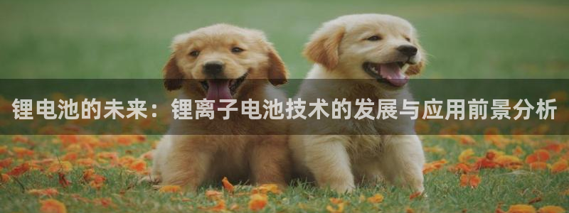 tp钱包app上线：锂电池的未来：锂离子