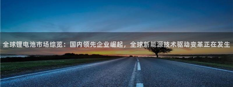 tp钱包和交易所：全球锂电池市场综览：国内领先企业崛起，全球新能源技术驱动变革正在发生